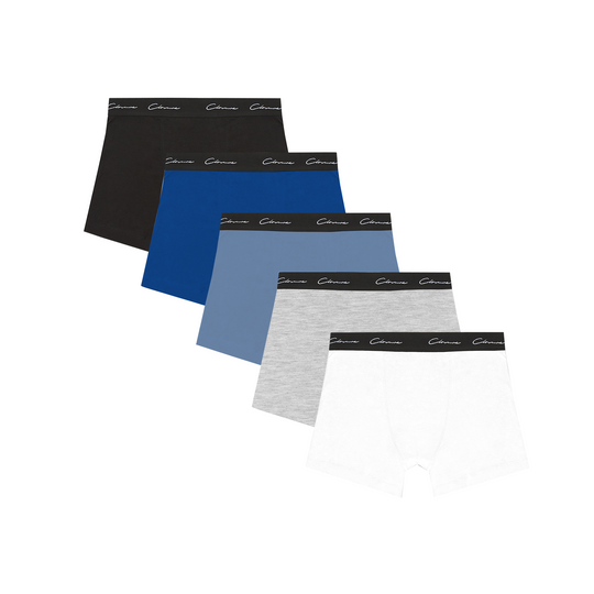 Men's Blue Multi 5-Pack Classic Signature Boxers Closure London Front View